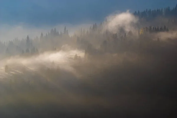 Tal Des Berges Morgen Von Nebel Überflutet — Stockfoto