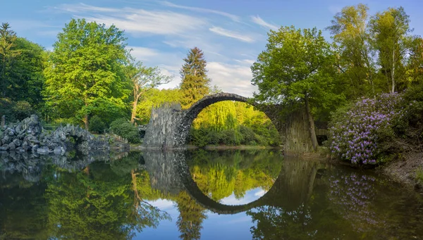 Blühende Rhododendronblumen Einem Park Kromlau Deutschland Teufelsbrücke Hintergrund — Stockfoto