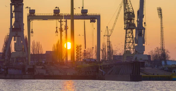 クレーン ガントリー クレーン 夕日の光の中のシルエット シュチェチン造船所 — ストック写真