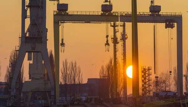 Silhouettes of cranes and gantry cranes in the light of the setting sun. Shipyard in Szczecin