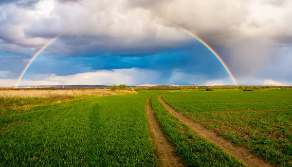 Tęcza Nad Pole Wiosną Burzy Wieczorem — Zdjęcie stockowe