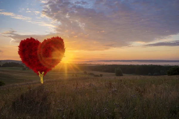 Red heart shaped tree-symbol of love and Valentine's Day — Stock Photo, Image