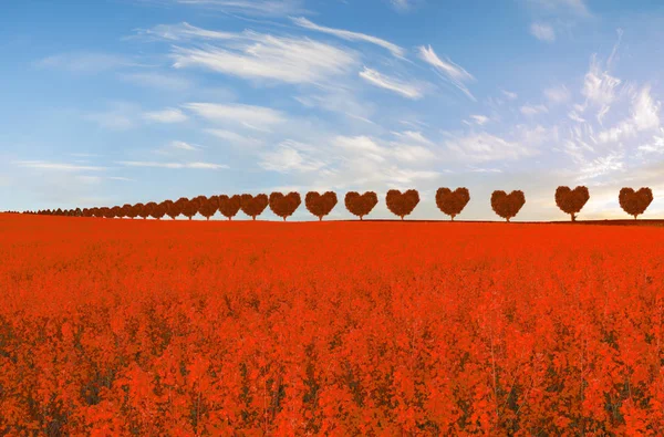 Red Heart Shaped Trees Spring Field Concept Love Valentine Day — Stock Photo, Image