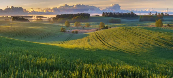 Panorama of a beautiful, ecological farmland at sunrise. Waved, — Stock Photo, Image