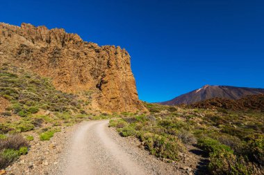 Teneri Teide Milli Parkı'nda ilginç kaya oluşumları