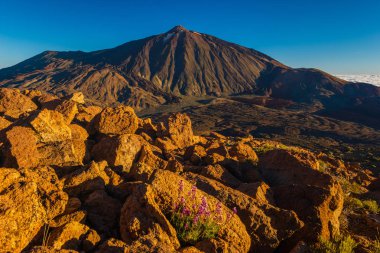 Guajara zirvesinden Teide yanardağı görünümü, Tenerife, İspanya