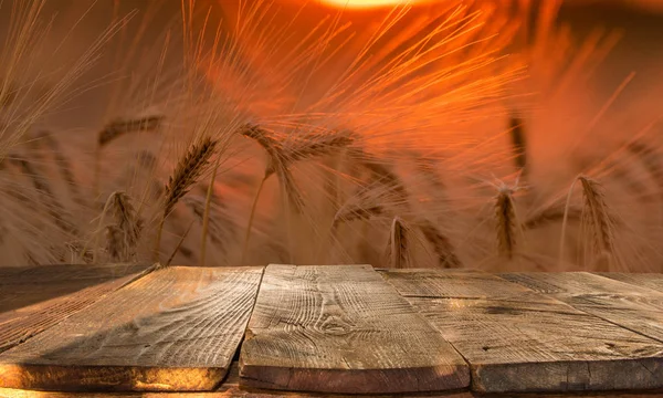 Wood board table in front of field of wheat on sunset light. Rea — Stock Photo, Image