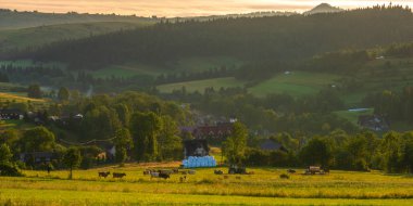 Polonya'da bir dağ köyü panoraması. Gre'de otlayan bir