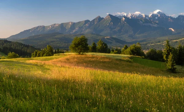 Panorama de las montañas Tatra visto en una mañana de verano —  Fotos de Stock