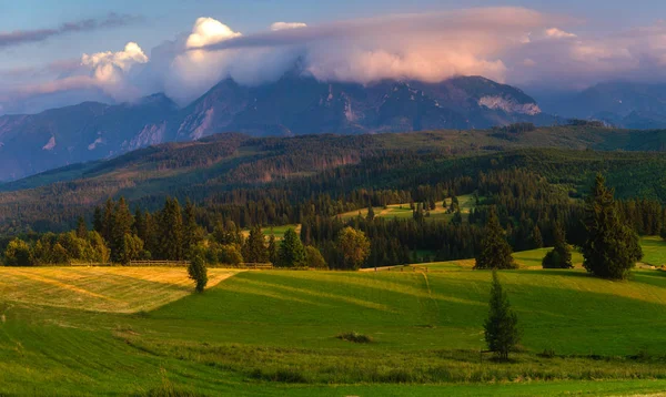 Tatra Mountains. Mountain peaks towering over green grassy hill