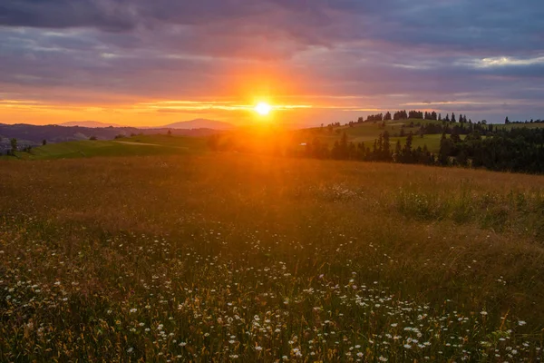 Sunset over a mountain meadow — Stock Photo, Image