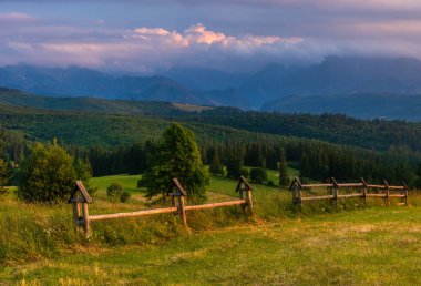  Tatra Dağları. Yeşil çimenli tepeüzerinde yükselen dağ zirveleri