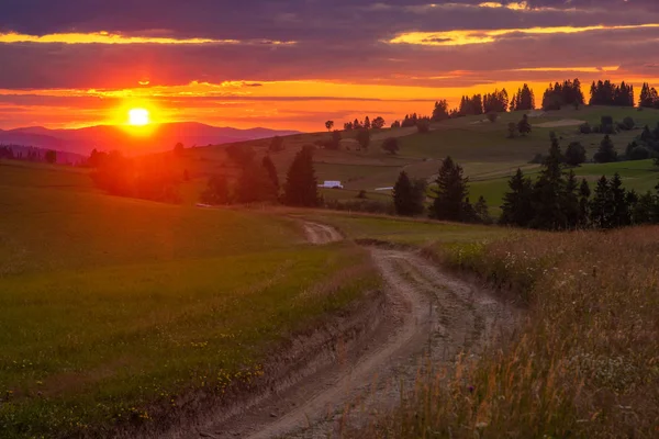 Sunset over a mountain road leading through meadows — Stock Photo, Image