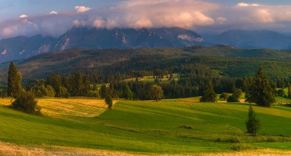 Panorama Tatr. Górskie szczyty górujące nad gr — Zdjęcie stockowe