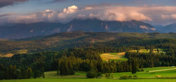 Panorama Tatr. Górskie szczyty górujące nad gr — Zdjęcie stockowe