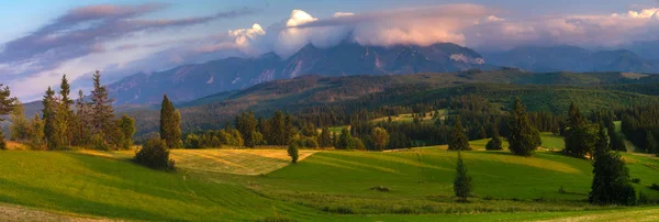 Panorama de las montañas Tatra. Picos de montaña que se elevan sobre gr —  Fotos de Stock