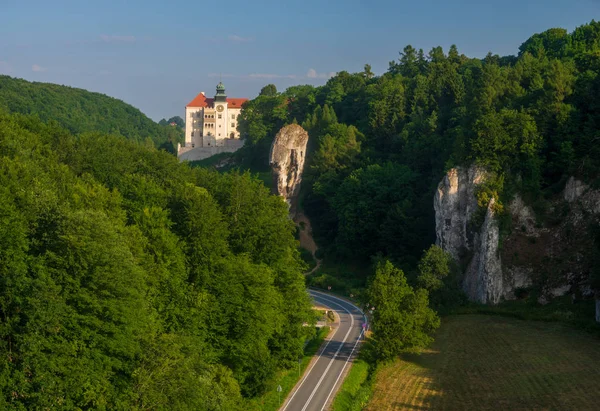 Pieskowa skala castle, gelegen im ojcowski nationalpark — Stockfoto