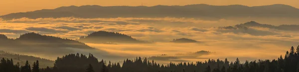 Panorama of a mountain valley sinking in the morning mist illumi — Stock Photo, Image