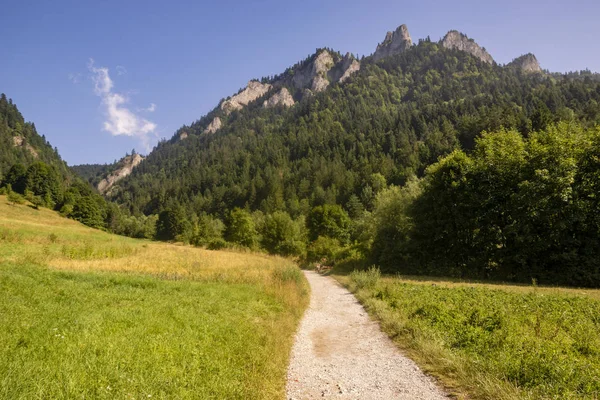 Pieniny üç crowns Zirvesi giden yürüyüş parkuru