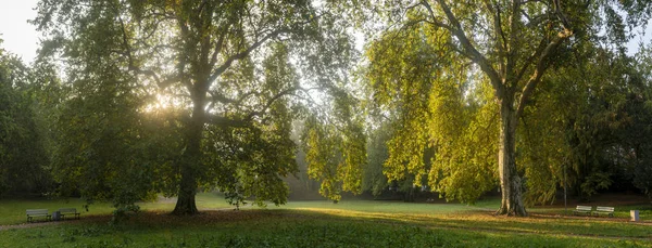Maravillosa mañana en el parque - rayos de sol rompiendo a través de la ca — Foto de Stock