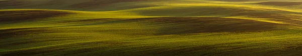 Panorama de um campo verde no cenário de outono — Fotografia de Stock