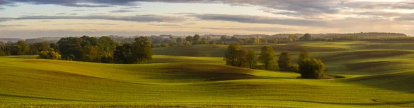 Panorama över ett grönt fält i hösten landskap — Stockfoto