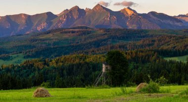 Polonya 'daki Lubiaz manastırı kompleksi.
