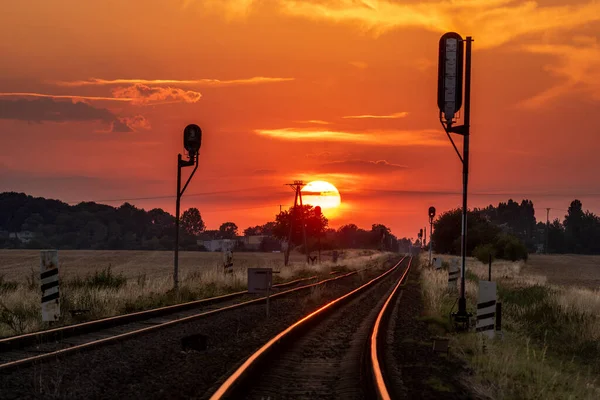 Shallow Focus Photography of Railway during Sunset · Free Stock Photo