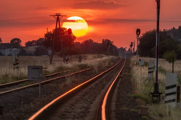 Nap Lenyugszik Vasúti Sínek Felett — Stock Fotó