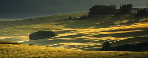 Panorama Belos Campos Verdes Uma Bela Manhã Nebulosa — Fotografia de Stock