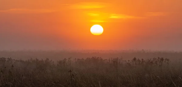 Otoño Amanecer Prado — Foto de Stock