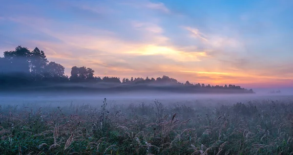 Morgennebel Über Einer Waldwiese Swidwie Reservat Polen Bei Herrlichem Sonnenaufgang — Stockfoto