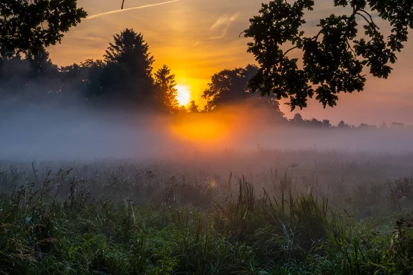 Wunderschöner Nebliger Sonnenaufgang Über Einer Wiese Swidwie Reservat Polen — Stockfoto