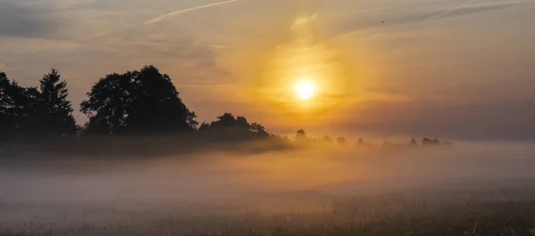 Wunderschöner Nebliger Sonnenaufgang Über Einer Wiese Swidwie Reservat Polen — Stockfoto