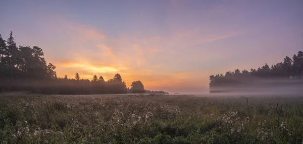 Wonderful Misty Sunrise Meadow Swidwie Reserve Poland — Stock Photo, Image