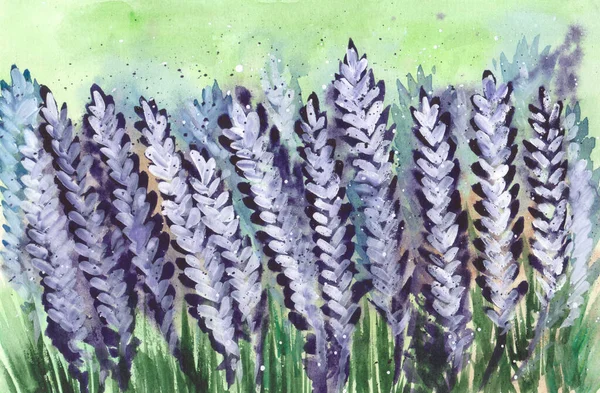 Levandulová akvarel ilustrace. Dekorativní pozadí fialové květy — Stock fotografie
