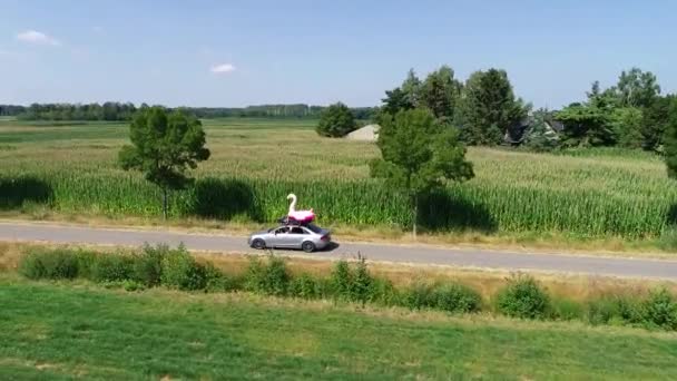 Letecký Pohled Jezdecké Auto Nafukovacím Plameňákem Střešním Stojanu Slunečný Veselý — Stock video