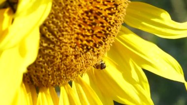 Sonbaharda karla kaplı tepelerin ve dağların havadan görünüşü. Polonya 'nın Tatra Dağları' nda ve Zakopane 'nin Panorama' sında Giewont dağ kitlesi