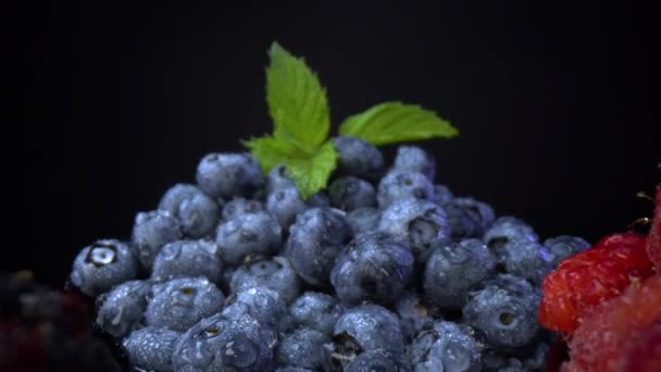 Frische Waldfrüchte Schwarzen Schalen Brombeeren Blaubeeren Himbeeren Schwarzen Schalen Auf — Stockvideo