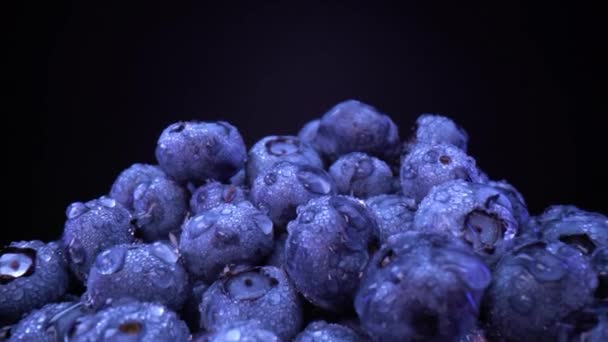 Frische Waldfrüchte Schwarzen Schalen Brombeeren Blaubeeren Himbeeren Schwarzen Schalen Auf — Stockvideo