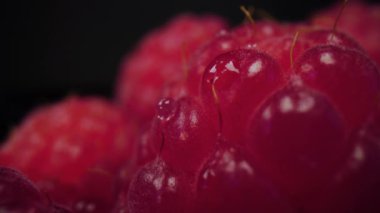 Su serpilmiş ahududu manzarası. Taze, sert ve lezzetli ahududu 4K 'da kapanıyor. Çiğ vejetaryen yaz atıştırmaları, orman meyveleri..