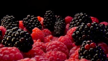 Ahududu ve böğürtlen. Yakın görüş, tabak dolusu taze orman meyvesi. Siyah arkaplandaki böğürtlen ve ahududu üzerine su serpilmiş. Vejetaryen için organik sağlıklı atıştırmalıklar. Dolly görünümü.