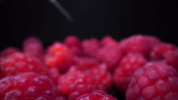 黑色背景的覆盆子靠近点 Gmo概念 转基因食品 水果和蔬菜 注射抗生素和调味品促进剂 — 图库视频影像