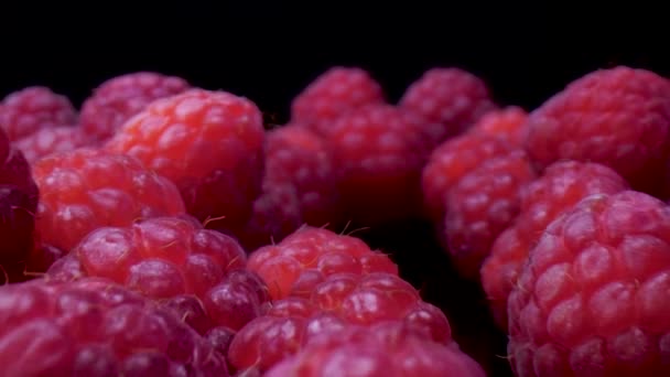 Himbeeren Auf Schwarzem Hintergrund Close View Frische Feste Und Schmackhafte — Stockvideo