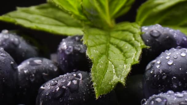 Blueberries View Close View Bowl Full Fresh Bio Blueberries Leaf — Stock Video