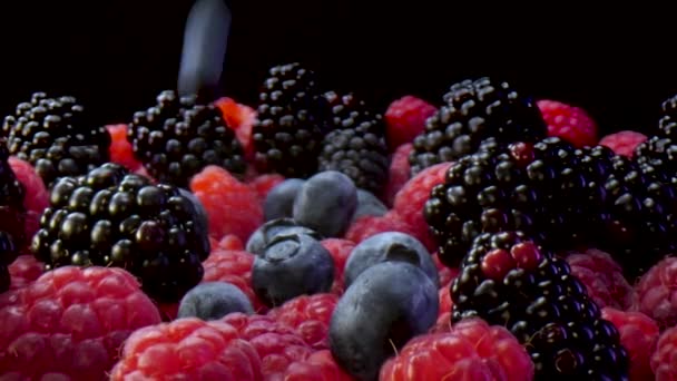 Közelről Látni Esik Áfonya Egy Tányéron Tele Friss Erdei Gyümölcsök — Stock videók
