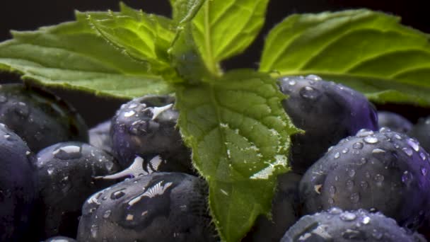 Nahaufnahme Der Schüssel Voller Frischer Bio Blaubeeren Mit Minzblättern Bestreut — Stockvideo