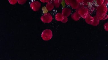 Ahududu suya dökülüyor. Bir sürü dut yavaşça siyah arka plana sıçrıyor. Siyah arka planda izole edilmiş organik orman meyveleri. Meyveli taze su.