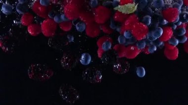 Yaban mersini ve ahududu suya dökülüyor. Bir sürü dut yavaşça siyah arka plana düşüyor. Siyah arka planda izole edilmiş organik orman meyveleri. Meyveli taze su.