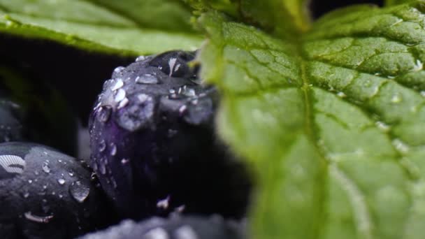 Makro Ansicht Der Schüssel Voller Frischer Bio Blaubeeren Mit Minzblättern — Stockvideo